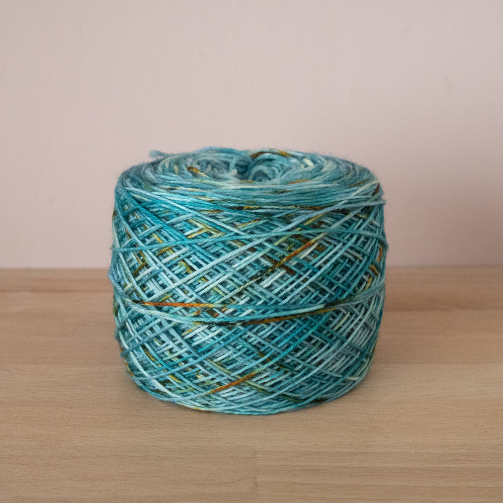 Destash | Oasis on Merino Fingering (105g)